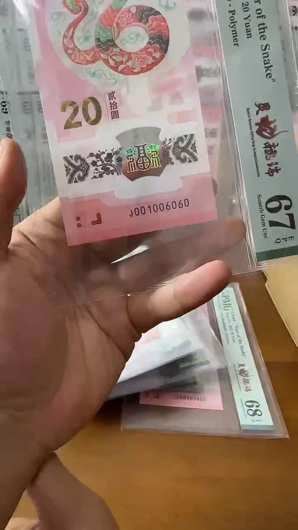 塑料大*001006060-蛇钞单张