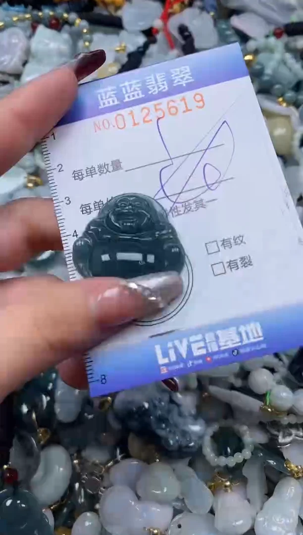 【闪购商品】翡翠颈饰未镶嵌闪购0125619多样性发其一