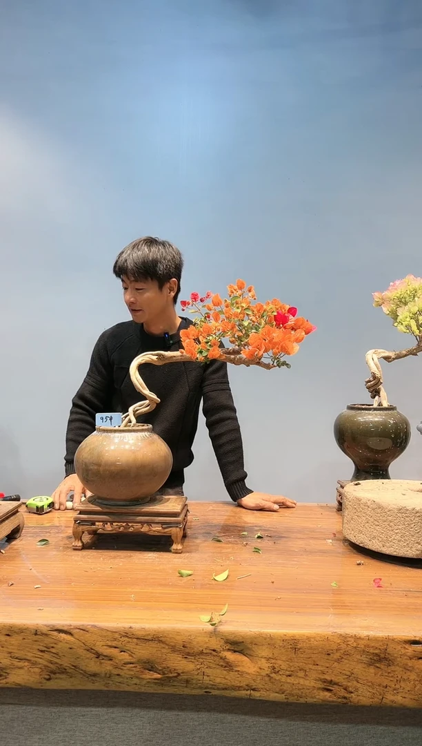 【闪购商品】AA951