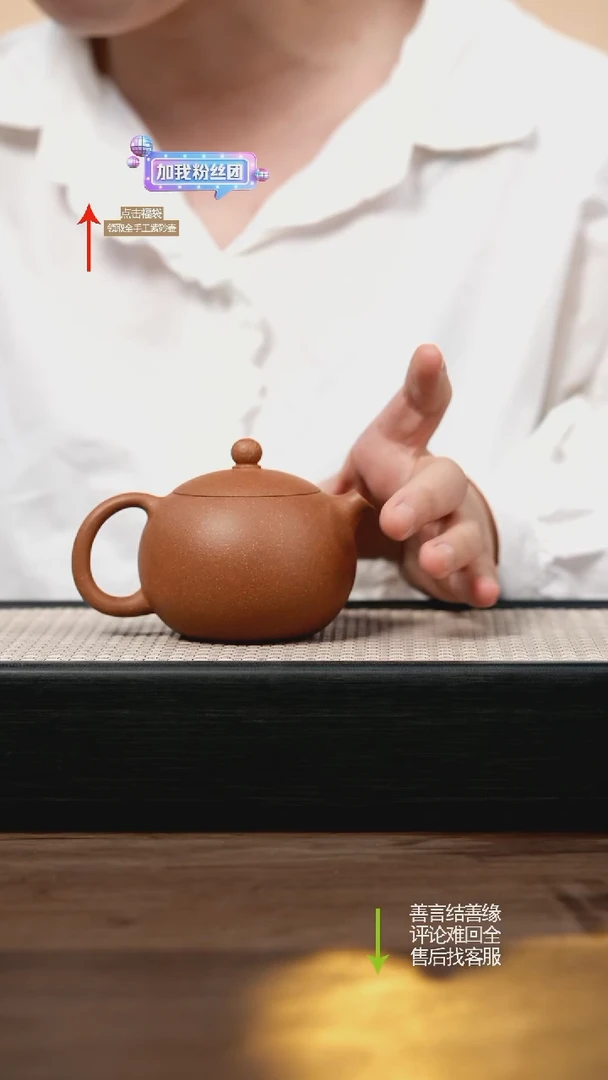 茶壶紫砂沉香段西施