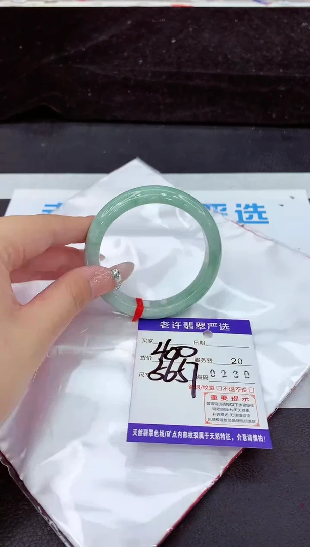 未镶嵌手镯翡翠1