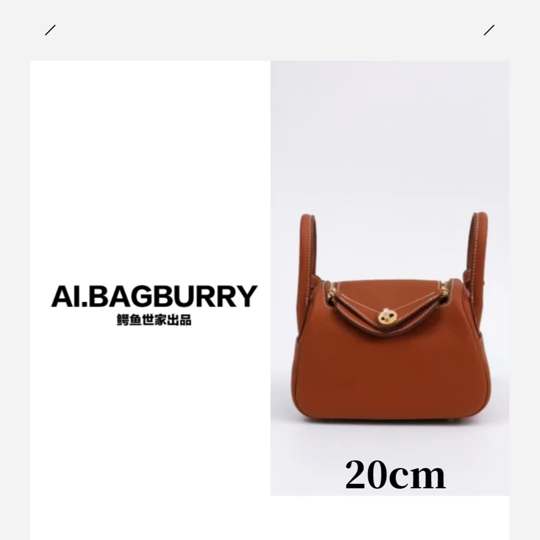 【TOGO皮金棕色-20cm】真皮 百搭网红女士包包