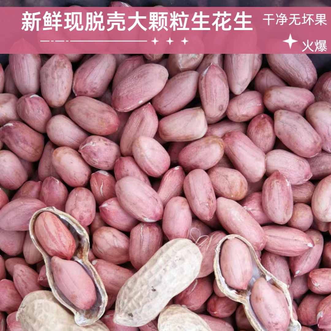 河南延津黄河故道精选大颗粒生花生米粉红皮新鲜现脱壳香脆榨油