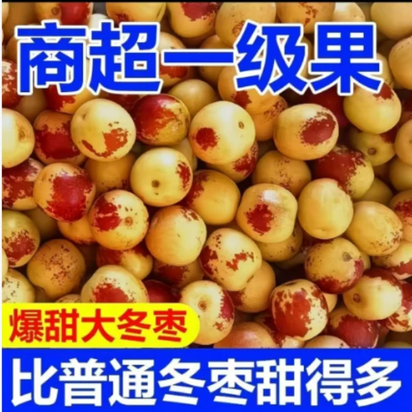 正宗云南大理冬枣新鲜青枣脆甜现摘孕妇大枣水果脆枣鲜枣整箱