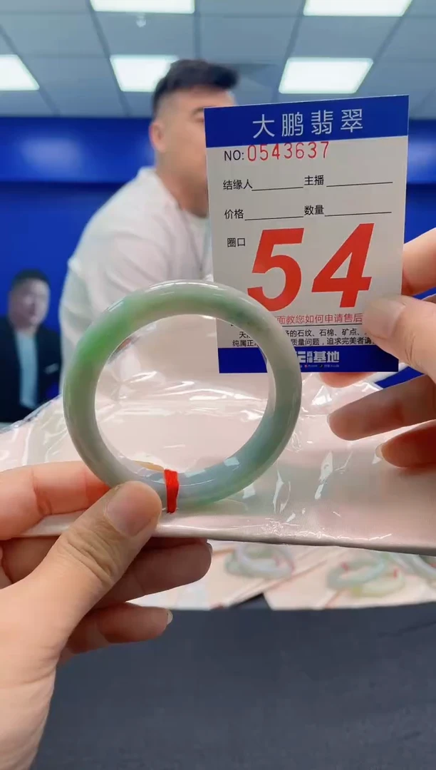 未镶嵌手镯翡翠AAAAAAAAA