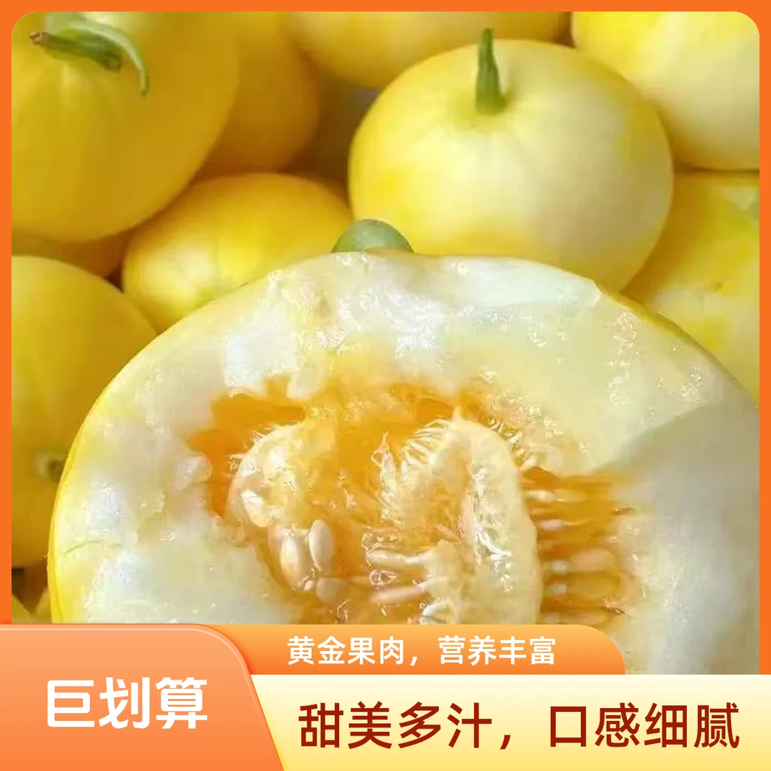 【买半斤送半斤】正宗山东小蜜罐春季现摘现发皮薄汁多XH