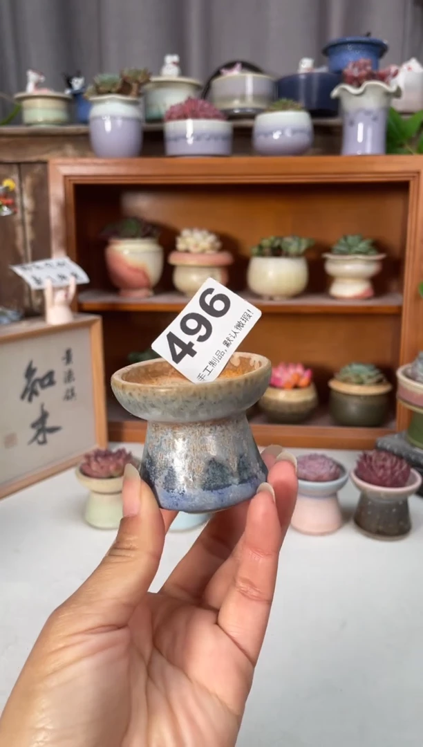 瓷片496小芳直播编号