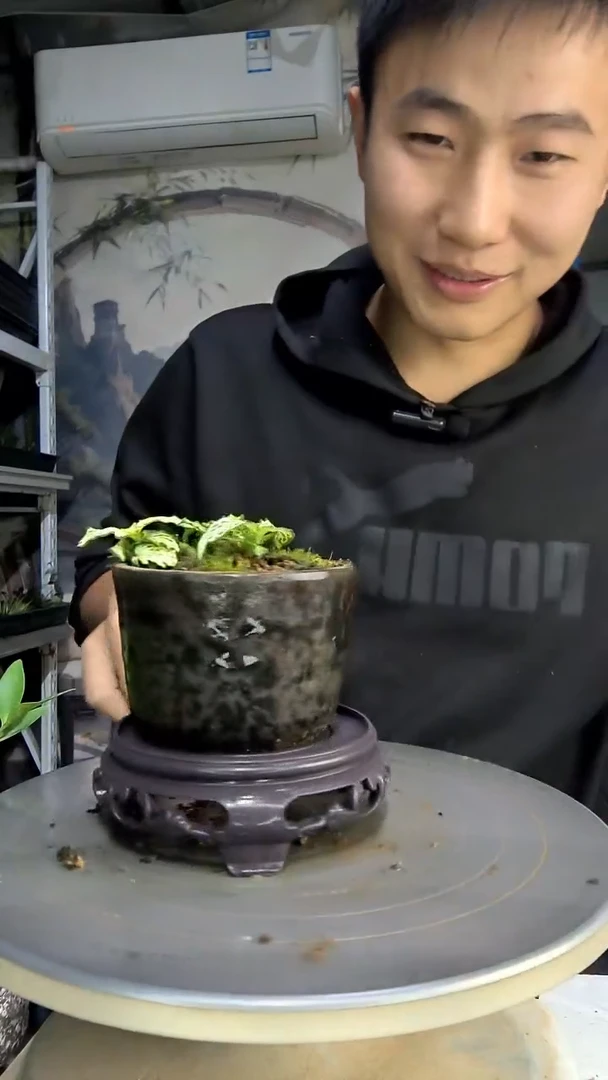 顿*中青园艺一物一拍163