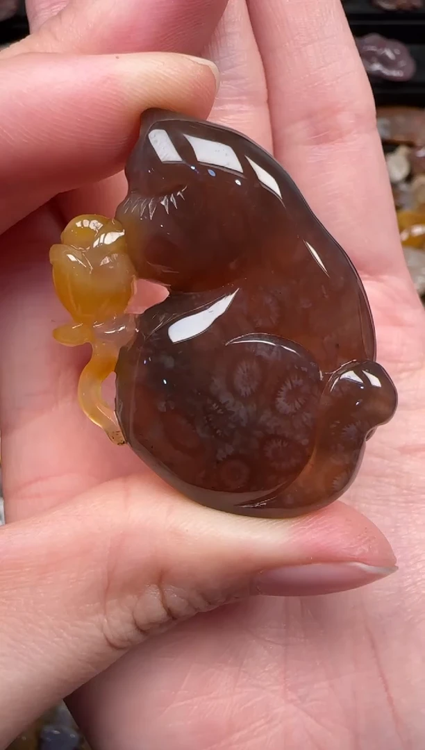 颈饰未镶嵌硅化珊瑚（珊瑚玉）795