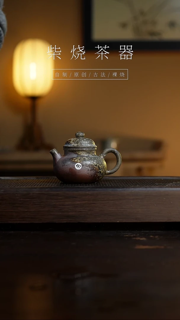 【闪购商品】容天壶497