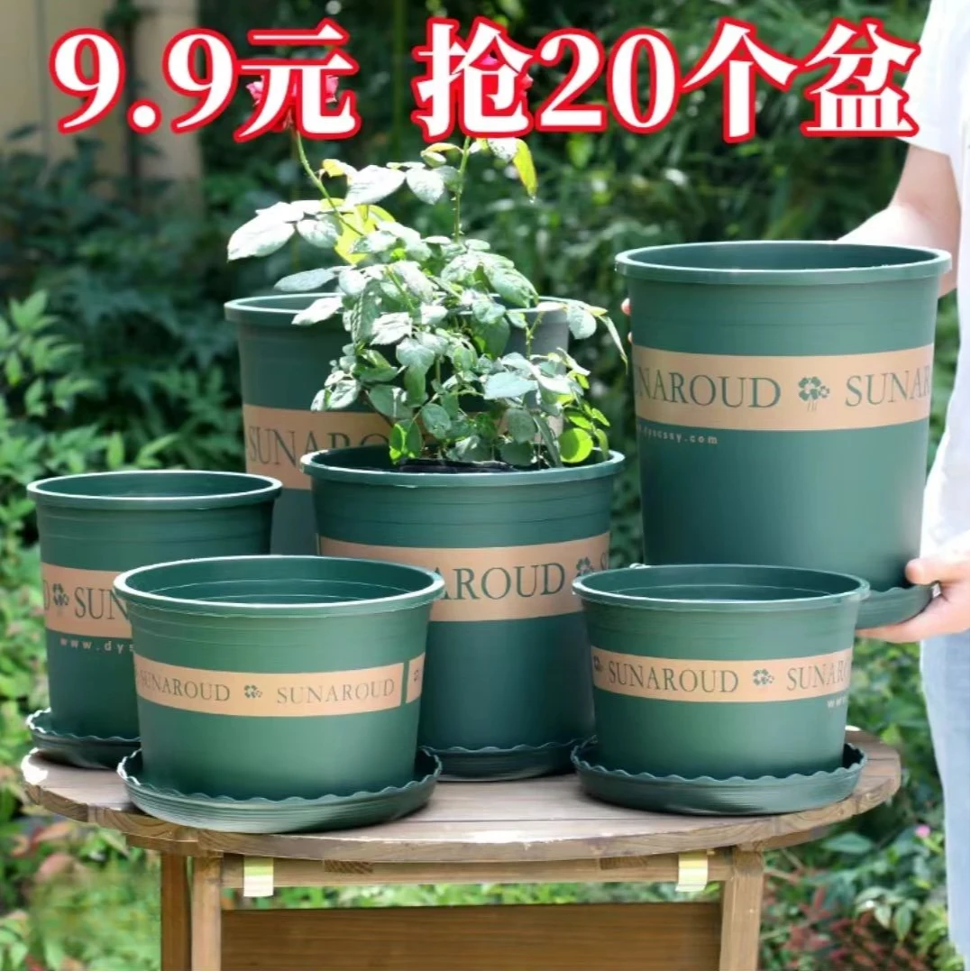 加仑盆玫瑰月季鲜花多肉植物花盆花卉阳台长盛树脂绿萝塑料盆环保