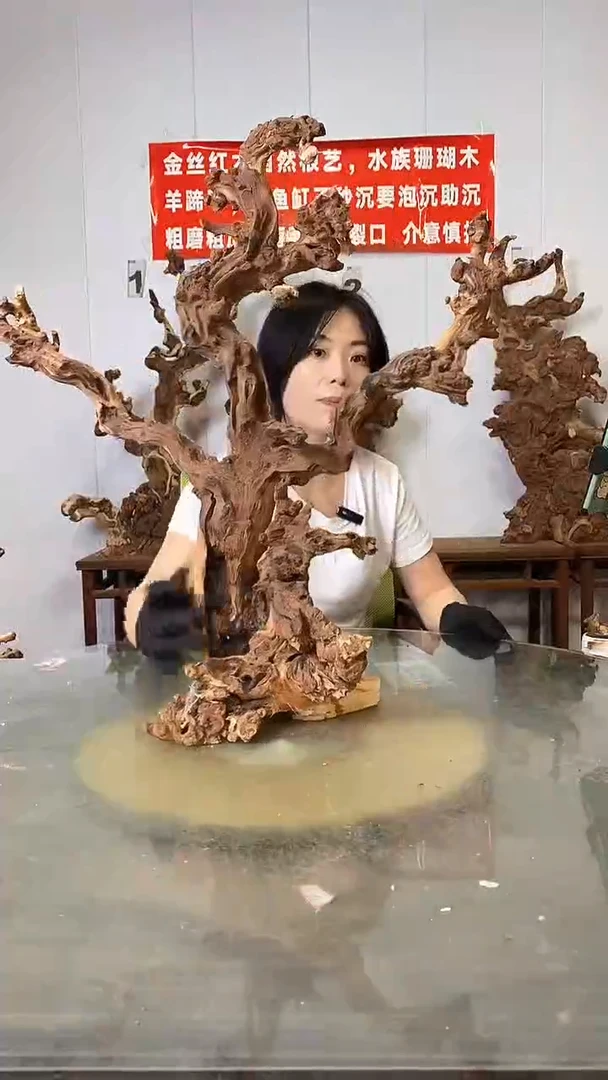 香榧木金丝红木  羊蹄甲