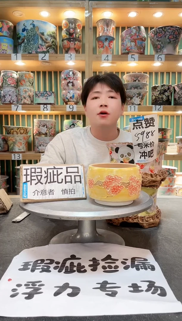 【闪购商品】瓷片默认微瑕一物一拍0225-107