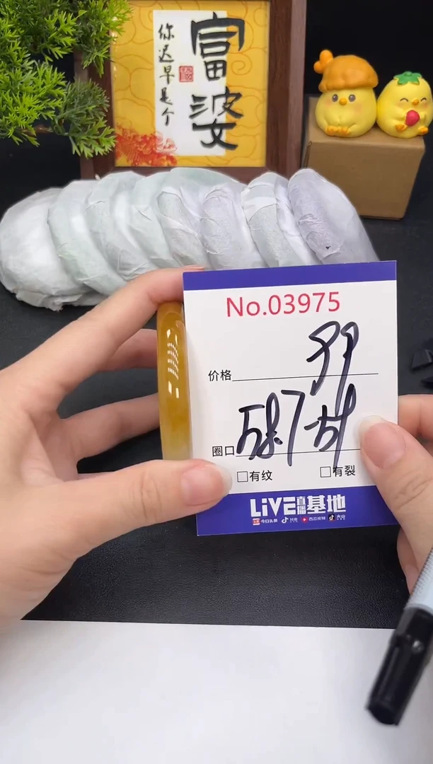 未镶嵌手镯翡翠3975