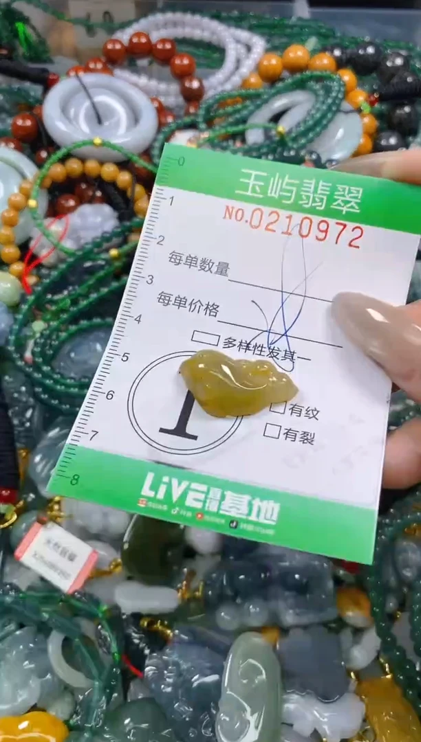 颈饰未镶嵌翡翠闪购0210972