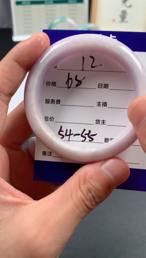 未镶嵌手镯翡翠12