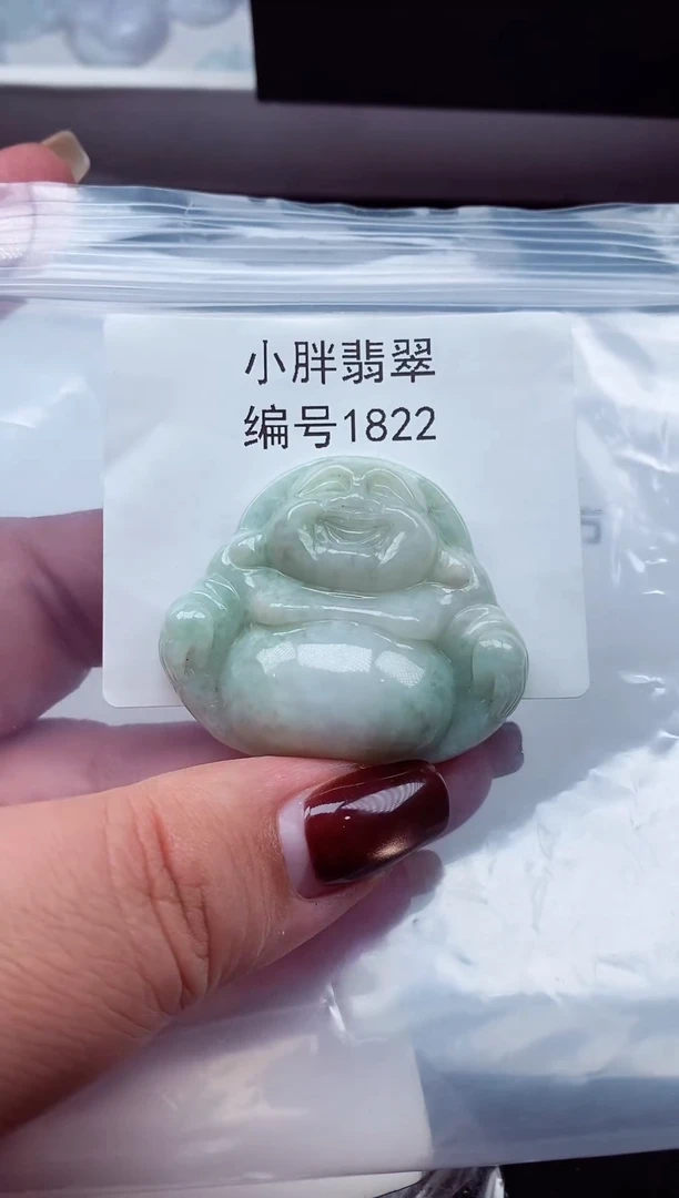 颈饰未镶嵌翡翠缅甸天然A货翡翠1822