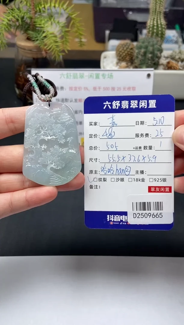 翡翠未镶嵌颈饰D2509665