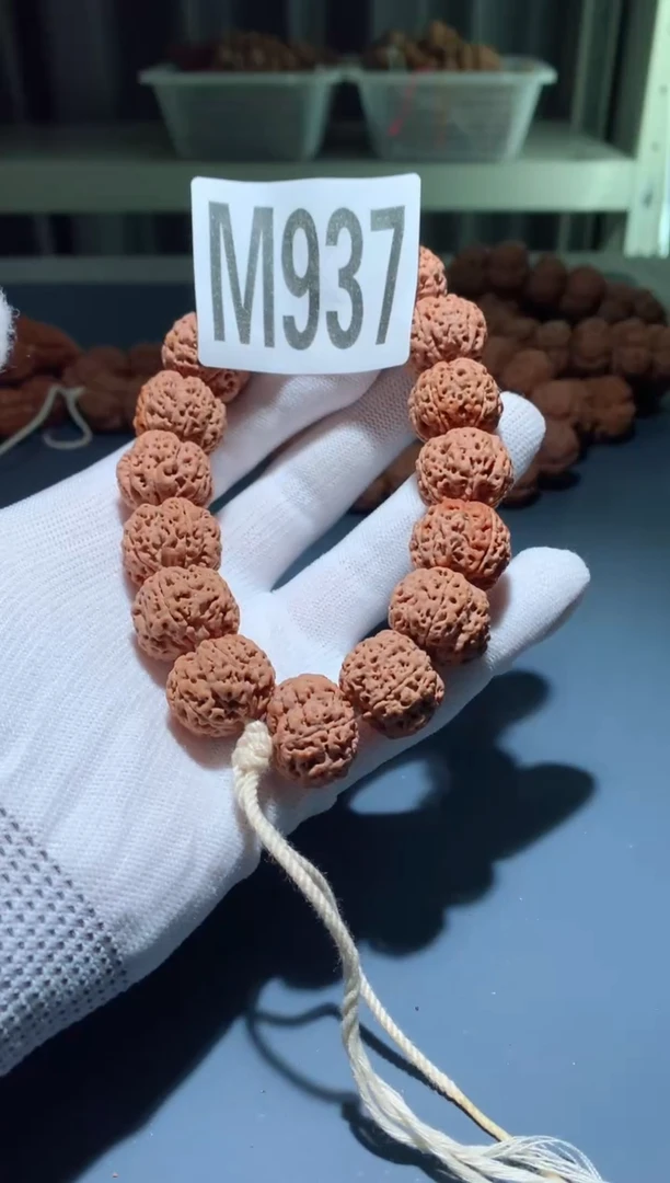 手串金刚菩提M000000937