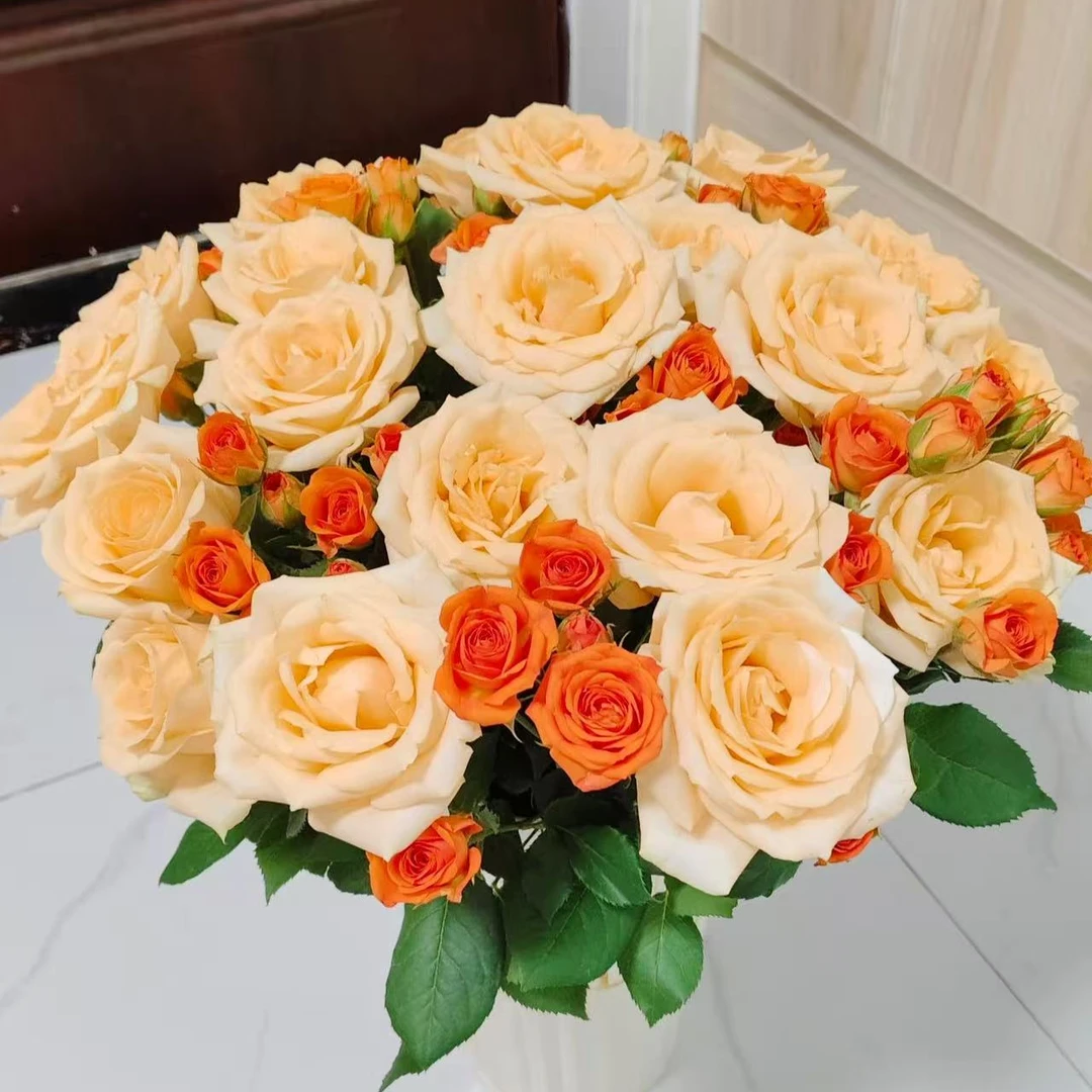 【云季花鲜】香槟+橙色芭比 共20枝装全场鲜花一单也发顺丰冷链空运
