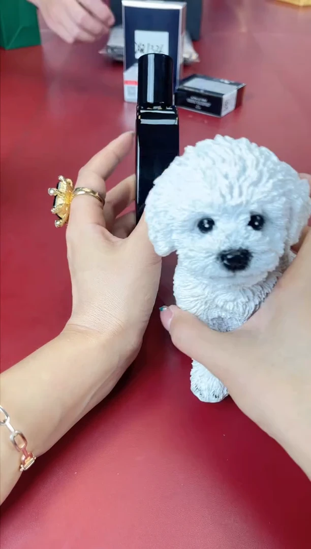 瓷片别算了真划算@@XQ1267