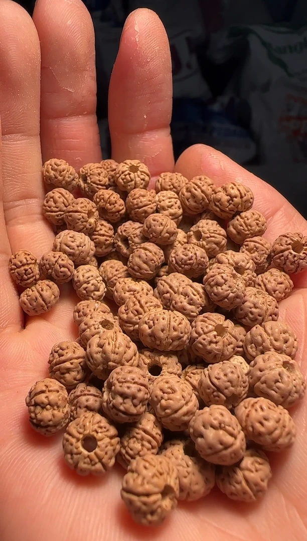 手串金刚菩提1非全品老树王散籽8-9mm一份一百颗