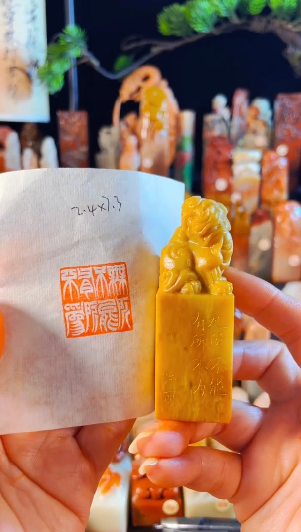 青田石印石手工篆刻《无所不能有所不为》