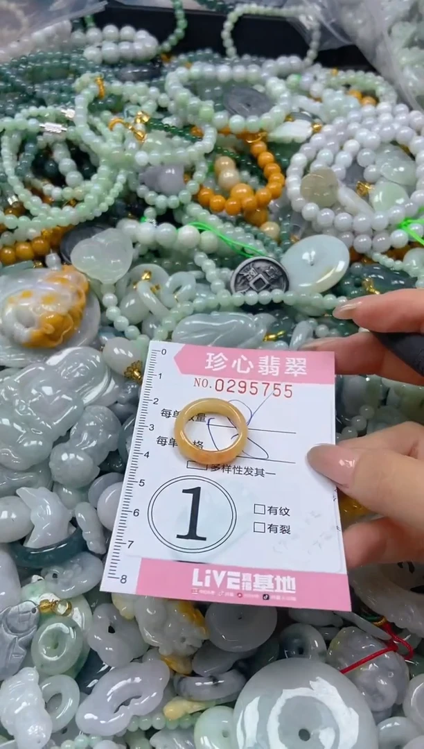 翡翠未镶嵌颈饰闪购0295755