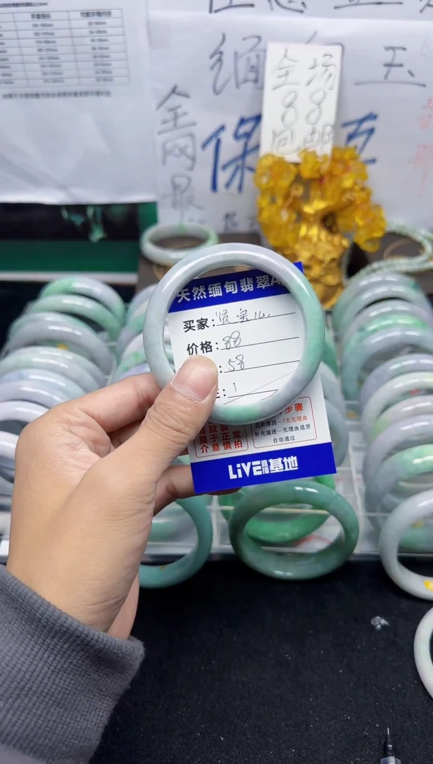 未镶嵌手镯翡翠（***儿1