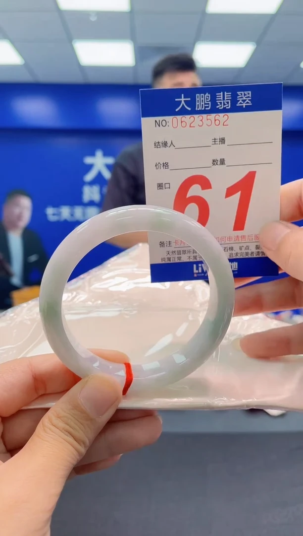 未镶嵌手镯翡翠AAAAAAAAA