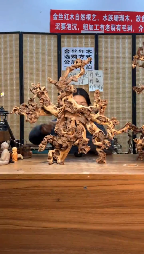 【闪购商品】木云南红河金丝红477