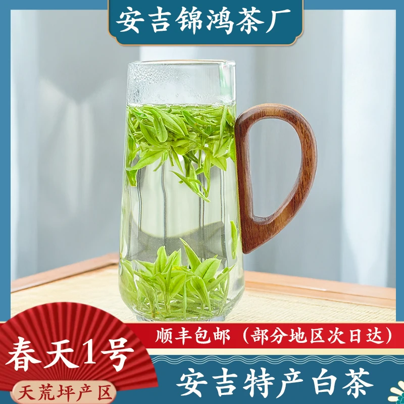 春天一号 A94正宗安吉原产高山白茶绿茶口粮茶兰花香安吉新茶白茶