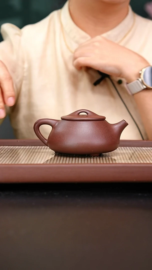 茶壶紫砂全手工底槽青景舟石瓢300赵