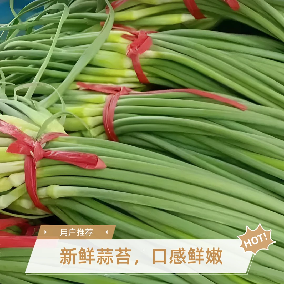 新鲜蒜苔现摘现发不泡药不打保鲜剂脆嫩多汁农家种植