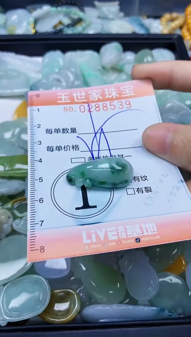 翡翠未镶嵌颈饰闪购0288539