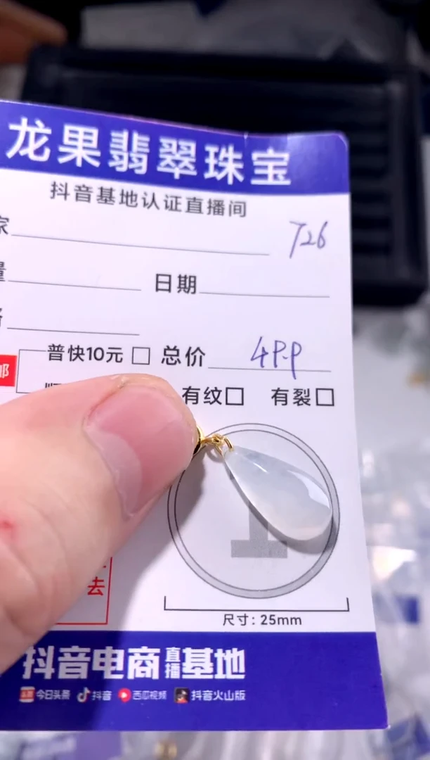 颈饰未镶嵌翡翠水滴726