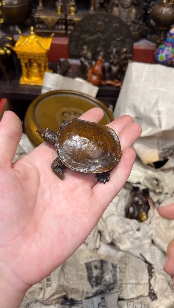 A瑞瑞古铜高端精品69