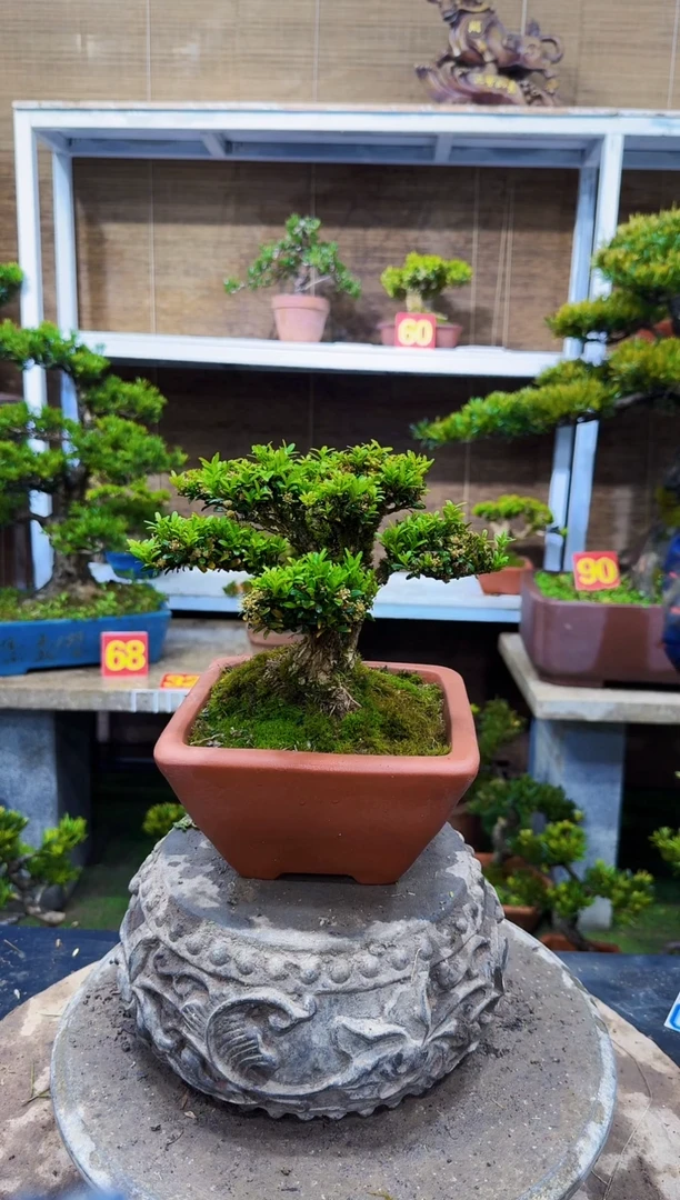 【闪购商品】11111111