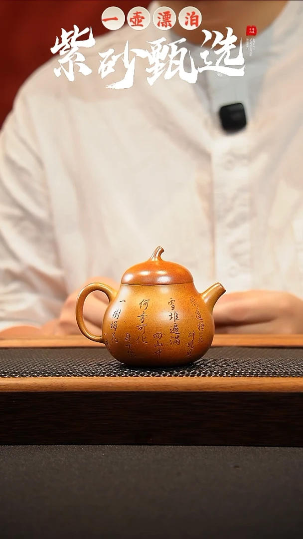 茶壶紫砂 一壶漂泊紫砂茶器5015