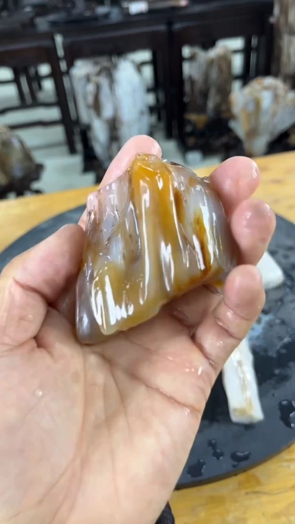 【闪购商品】硅化玉珠宝奇石未镶嵌1