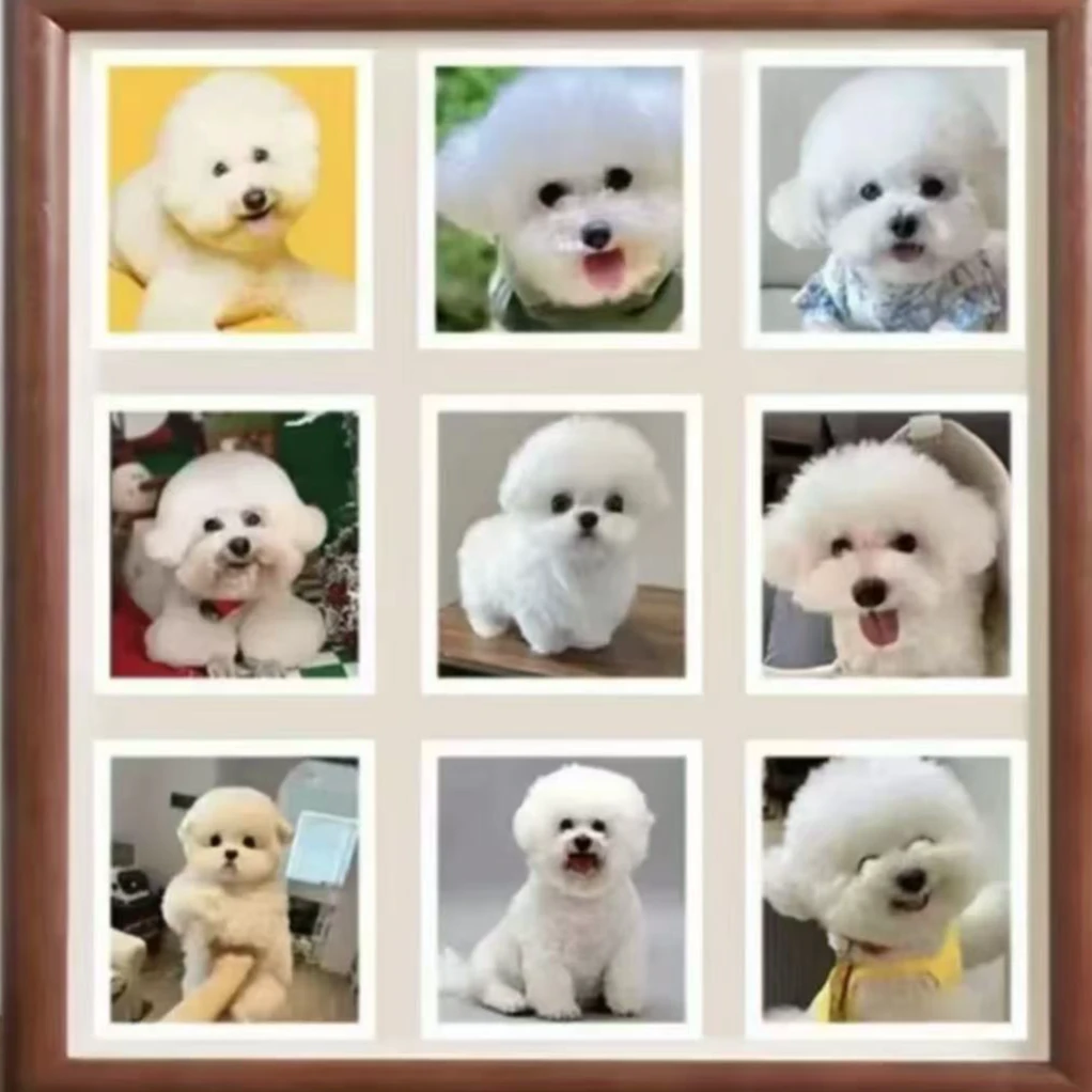 腾允宠物相册定制