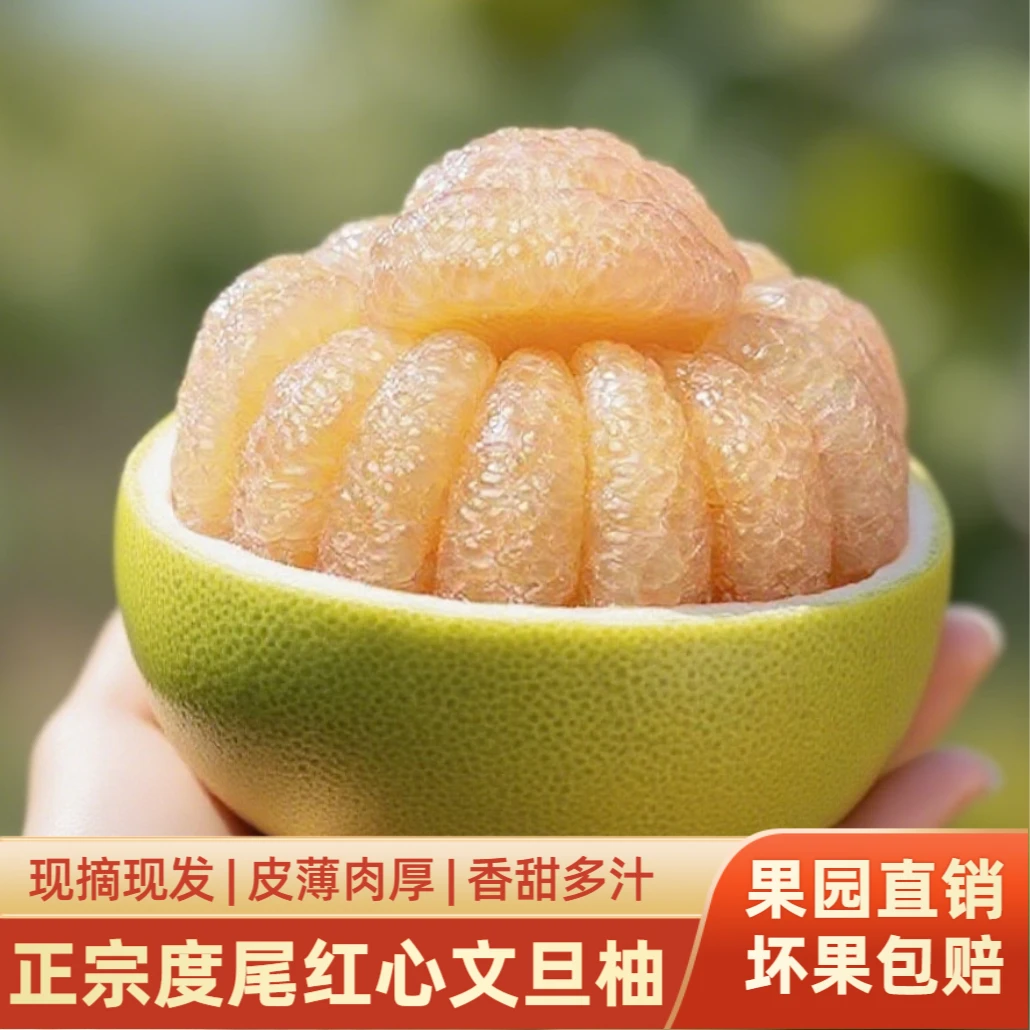 正宗度尾文旦柚礼盒装福建红心蜜柚子孕妇应季新鲜水果坏果包赔