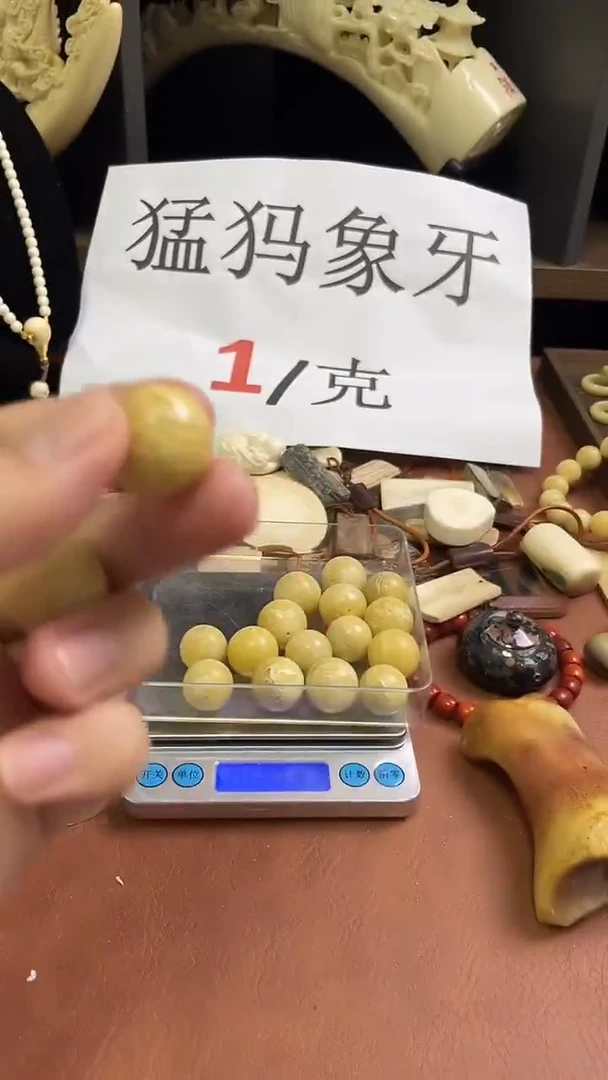 猛犸社会牛2.0m圆珠单颗