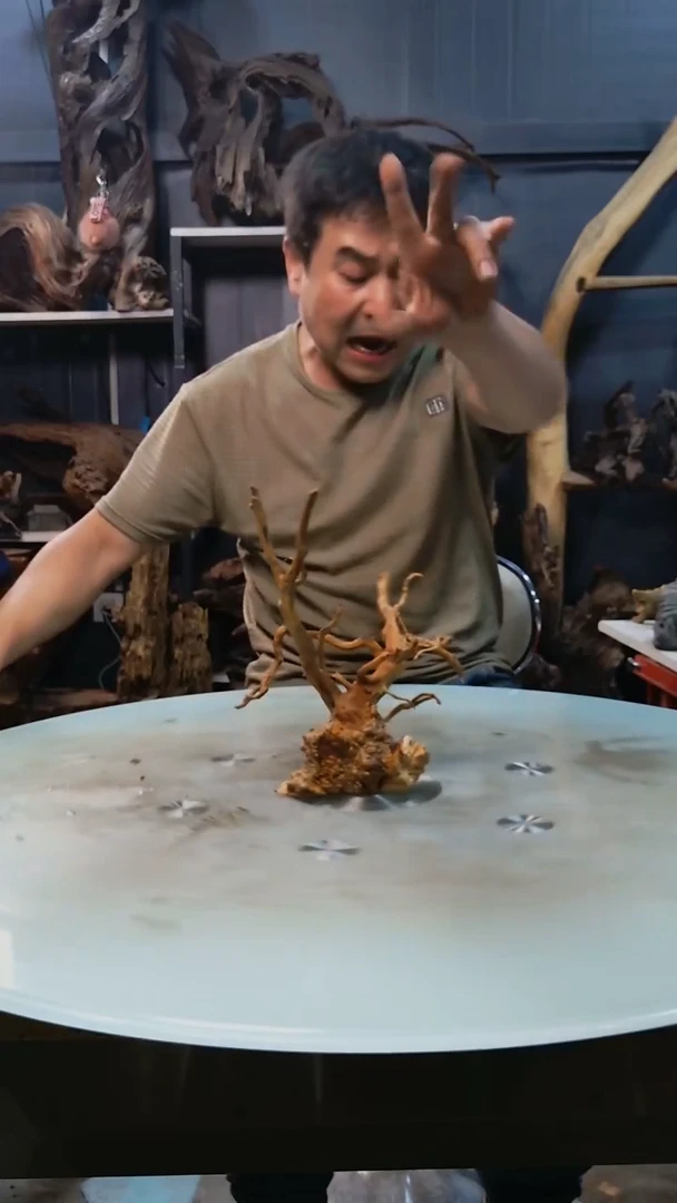 231清香阁清香阁清香阁