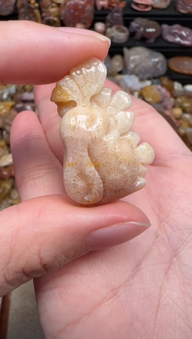 颈饰未镶嵌硅化珊瑚（珊瑚玉）844
