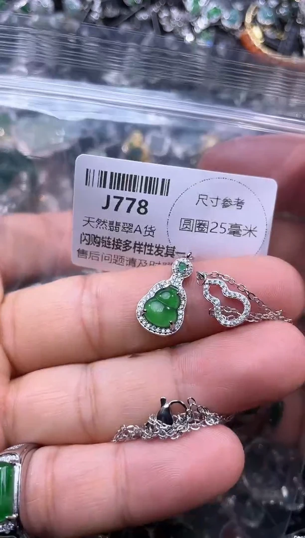 【闪购商品】翡翠颈饰未镶嵌J778项链