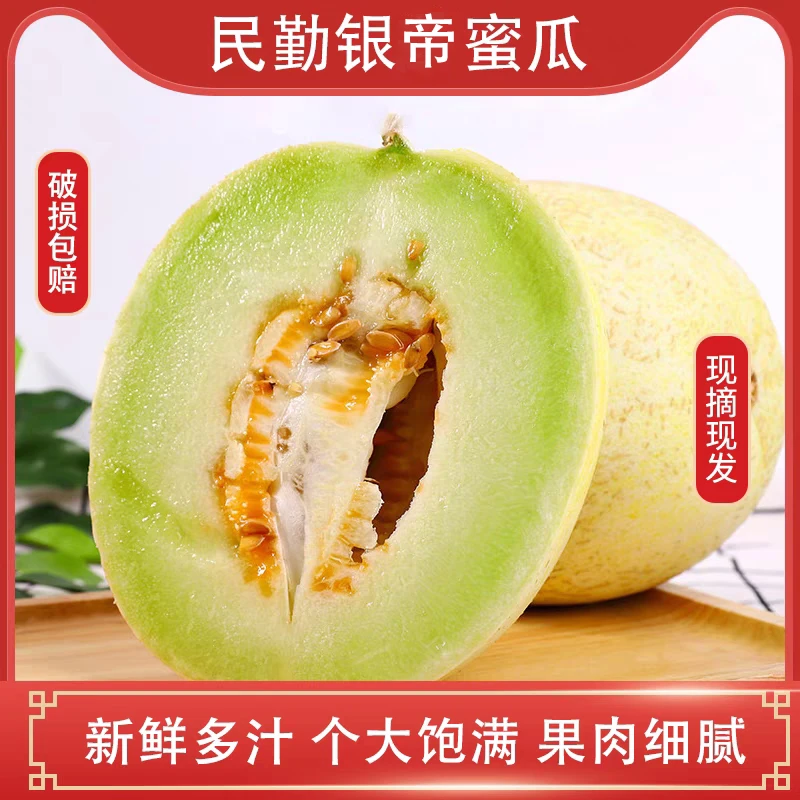 甘肃民勤沙漠蜜瓜银帝白兰瓜奶油瓜