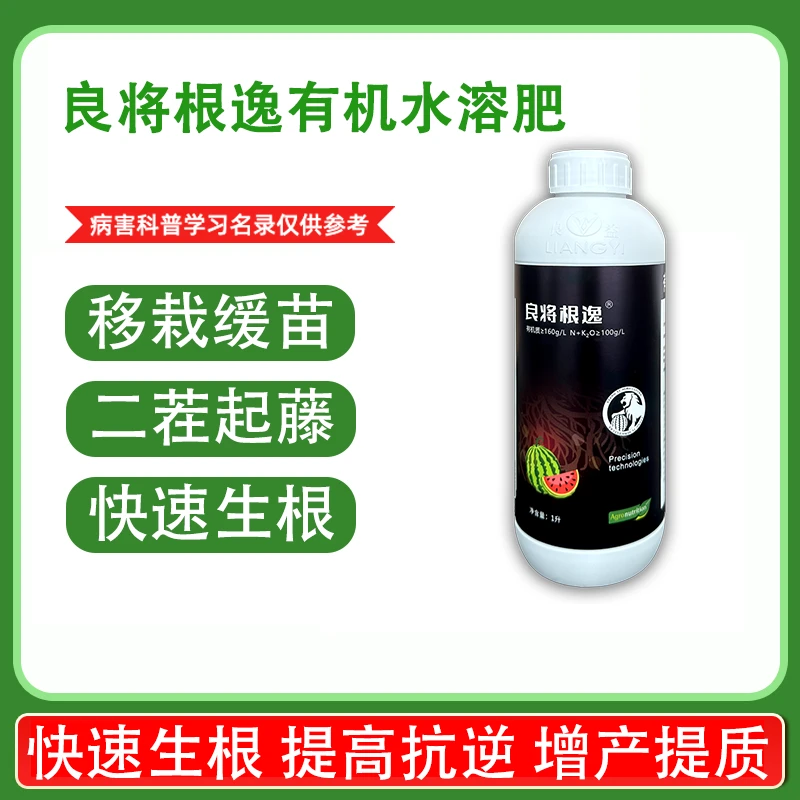 良将根逸腐殖酸有机肥生根壮苗起藤子防倒藤生根壮苗剂西瓜用