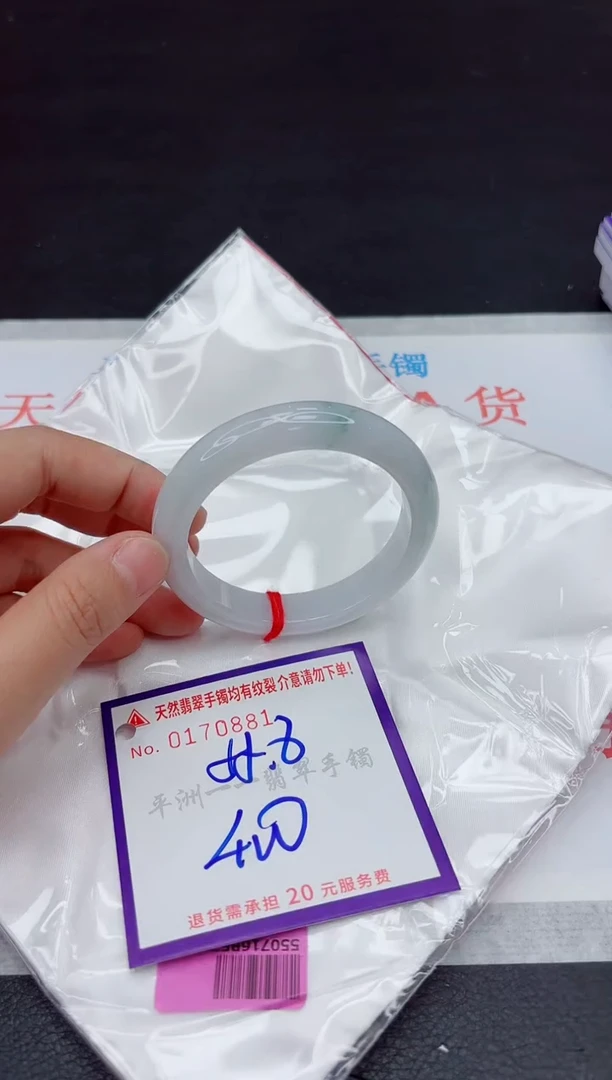 未镶嵌手镯翡翠11111