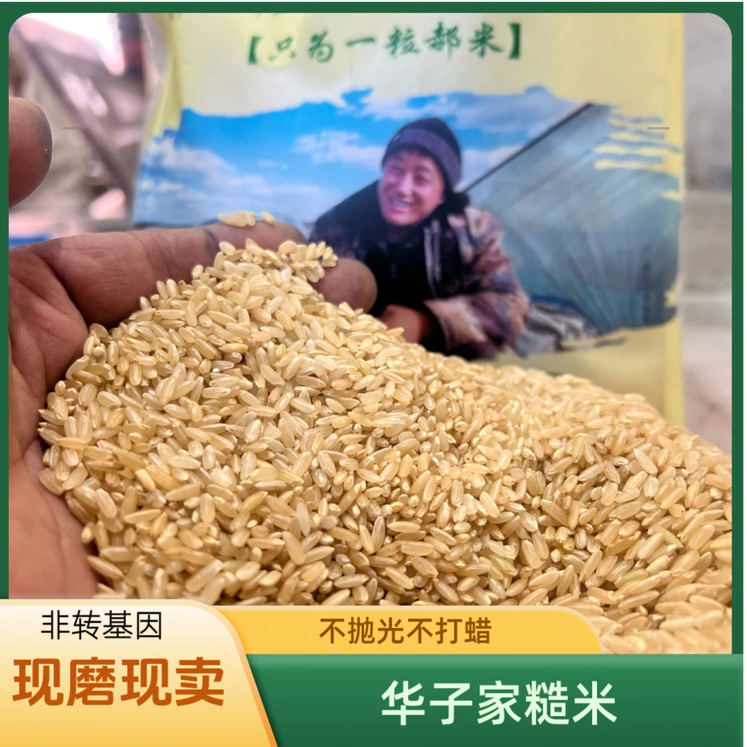 正宗东北农家糙米散装不抛光不打蜡有机肥种植胚芽米五谷杂粮粗粮